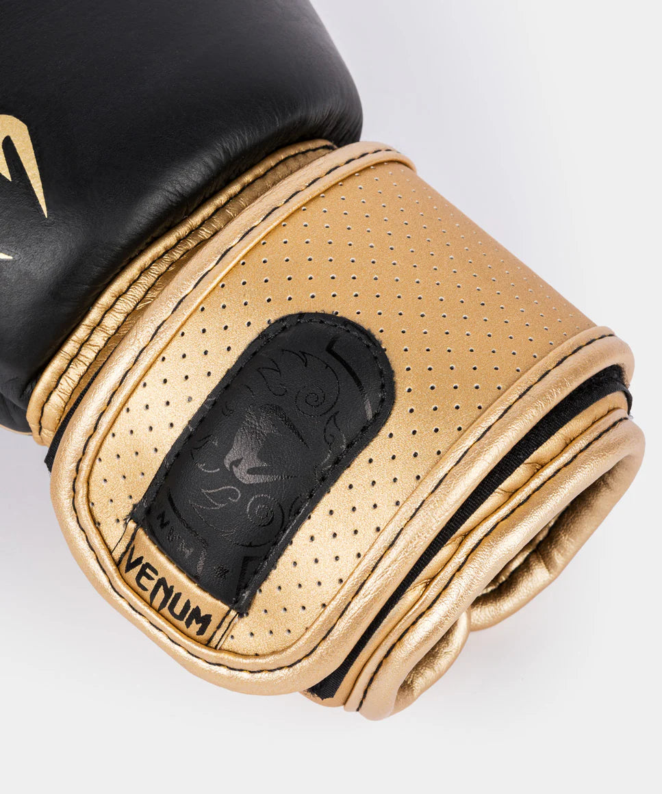 Venoxis Power 2.0 Boxing Gloves