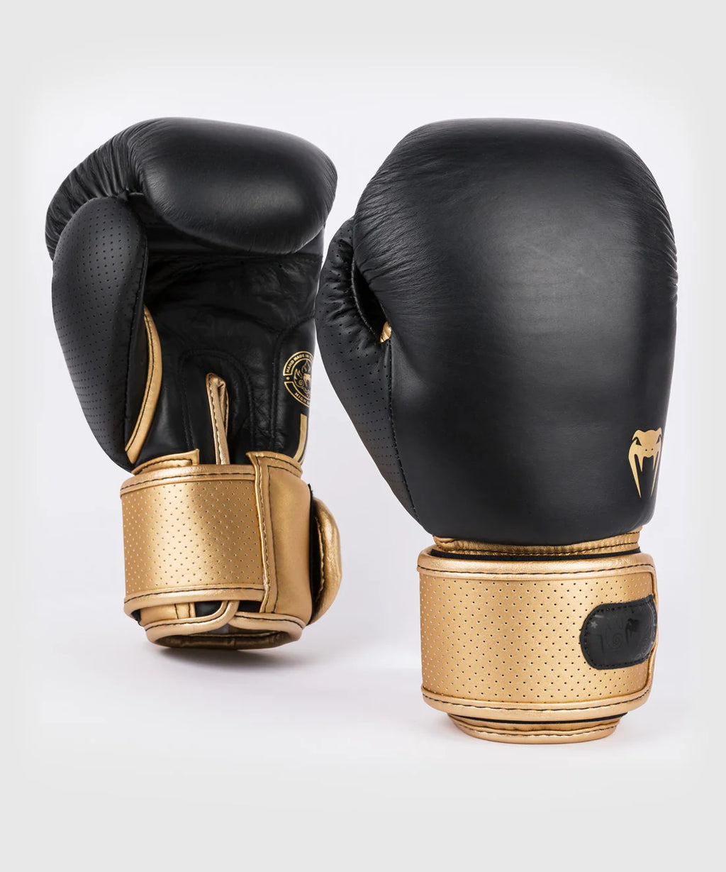 Venoxis Power 2.0 Boxing Gloves