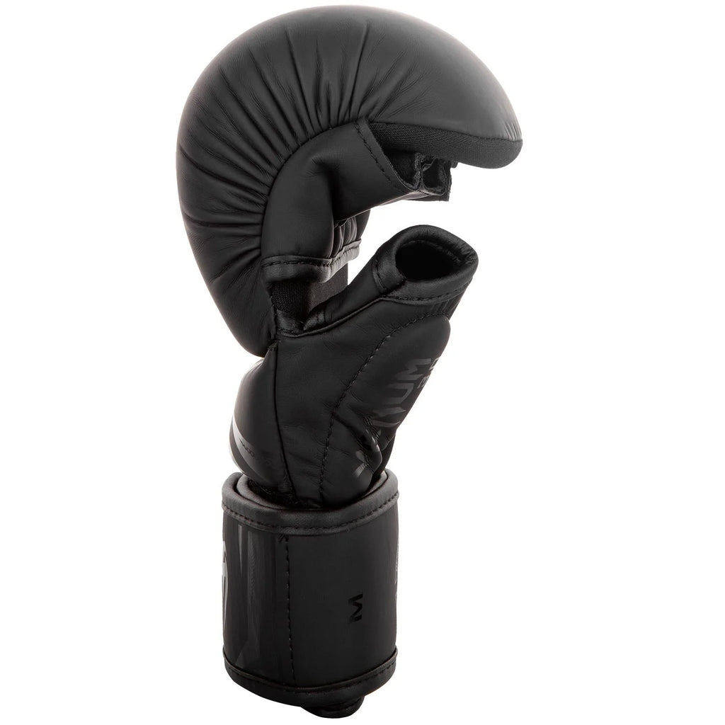 Sparring Gloves Venoxis Challenger 3.0